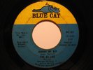Northern Soul 45 AD LIBS Johnny My Boy BLUE CAT HEAR