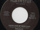 MOJAVE Out To Get-Cha North Star RARE Modern Soul hear