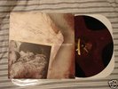 American Nightmare Blood Splatter Converge Trash Talk