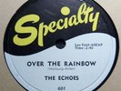 THE ECHOES 