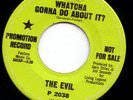 garage mosnter 45  THE EVIL - Whatcha Gonna Do About It