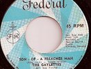 THE GAYLETTES / SON OF A PREACHER MAN / LISTEN