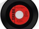 NORTHERN SOUL The Tempests WHAT YOU GONNA DO 45