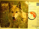 DARRYL WAY'S WOLF Rock LP Record 