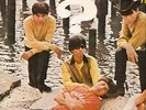 LP- QUESTION MARK & THE MYSTERIANS- 96 TEARS- N. MINT