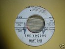 Terry Gale promo 7 The Voodoo /Just 15