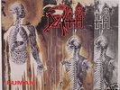 DEATH -Human LP 1991 ORIG.MINT immolation suffocation
