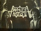  White Noise - Different - Arizona Metal Band