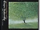 KIM DOO SOO: 10 Days Butterfly 2LP