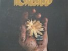 HOMESTEAD LP orig 1970 RHINOCEROS Canadian Psych SEALED