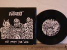antisect 7