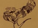 MURPHY BLEND - FIRST LOSS  LP KRAUTROCK  RE