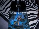 SKINHEAD OI RARE LP ROR ISD