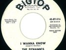 The Dynamics : RARE Northern Soul 45 on Bigtop