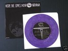 Nirvana Melvins Split 7