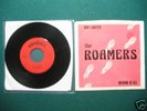 THE ROAMERS Don't Matter Powerpop Punk KBD Private 1980
