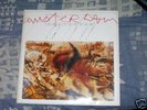 DISCO RARO Vinile    -- Litfiba Diaframma  AMSTERDAM --