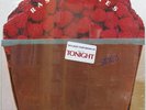 RASPBERRIES Side 3 ORG SEALED LP Rare Sticker BEATLES