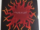 Sunny Day Real Estate 