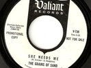 GRAINS OF SAND she needs me 60s GARAGE PUNK 45 LISTEN