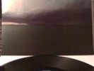 Modest Mouse - Fruit That Ate Itself 12