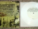 Norma Jean 7