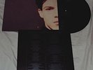 Felt Forever Breathes LP CREATION UK ORIG MBV LUSH RIDE