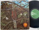 DRAGONFLY s/t Lp ORIG 1968 PSYCH MONSTER on MEGAPHONE