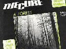 THE CURE - A FOREST - 12
