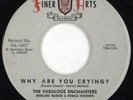 FABULOUS ENCHANTERS Why Are You Crying 45 Finer Arts'61