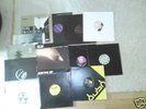Techno Platten/Vinyl dj Rush Vitalic Triebtäter 12erSet