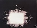 TOOL - AENIMA - Color VINYL 2LPs+Gatefold Sleeve+Insert