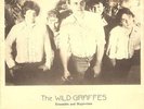 WILD GIRAFFES LOVE ME CLEVELAND POWER POP NECK 7