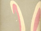 RABBIT-