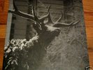 AGALLOCH - The Mantle 2xLP  Ulver, Katatonia, Drudkh