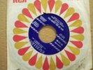 Rockabilly   LOGAN VALLEY BOYS  (Ohio)