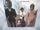 DOORS 2 LP Mr Mojo Risin Psych Bootleg Jim Morrison
