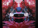 BLUE MOUNTAIN EAGLE s/t LP 1970 ATCO rural acid psych