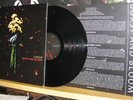 CURSIVE BURST AND LP emo/alkaline trio/get up kids