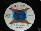 THE RAVEN - CALAMITY JANE ORIG US MOD / GARAGE /FUZZ NM