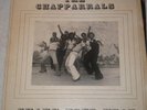 THE CHAPPARRALS ,SHAKE YOUR HEAD ORIGINAL LP NM,RARE
