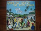 SCIENTIST - Meets the Roots Radics LP Selena Original