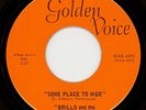 BRILLO & the FIREBIRDS-