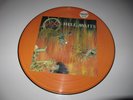SLAYER Hell Awaits picture disc vinyl LP numbered RAZOR