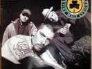 HOUSE OF PAIN - FINE MALT LYRICS LP ORIGINAL WIE NEU 