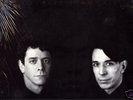 JAMES HAMILTON COVER ART LOU REED JOHN CALE WARHOL TRIB