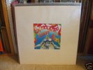 Sunburned Hand Of The Man - Jaybird LP Qbico NNCK OOP