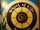 RARE Ronnie Davis Roots DUb album WHEEL of LIFE ja