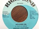 ANDREW LEWIS BAND 