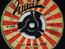 Dandy - WE ARE STILL RUDE / LETS DO ROCK STEADY- Listen